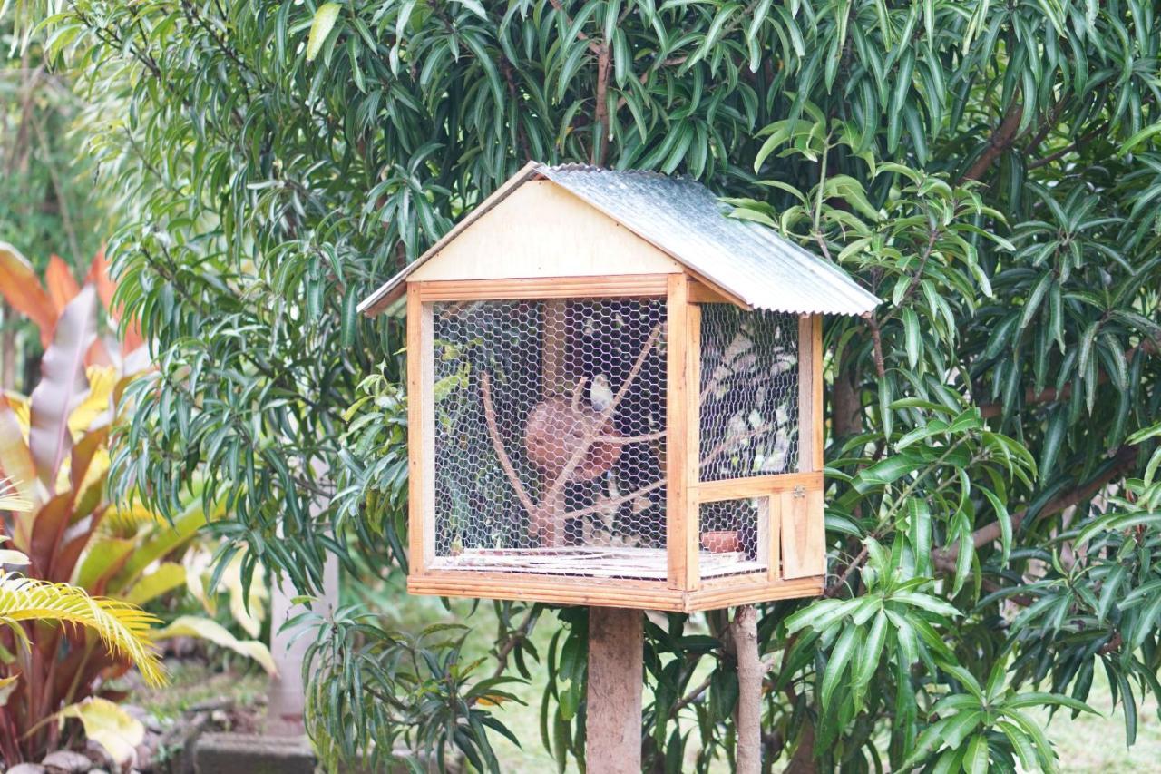 Nature World Jungle Paradise ウダワラウェ エクステリア 写真