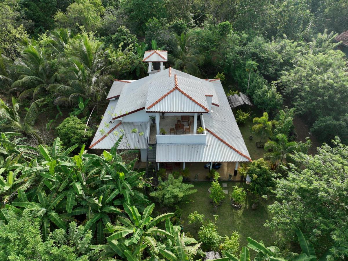 Nature World Jungle Paradise ウダワラウェ エクステリア 写真