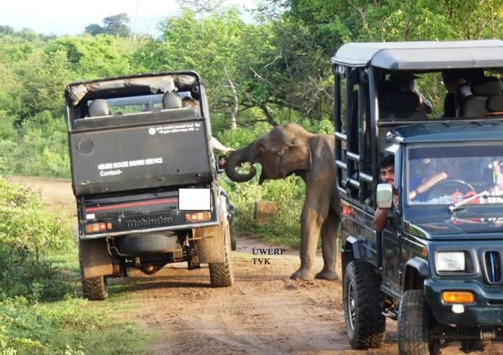 Nature World Jungle Paradise ウダワラウェ エクステリア 写真