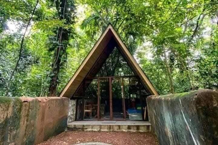 Nature World Jungle Paradise ウダワラウェ エクステリア 写真