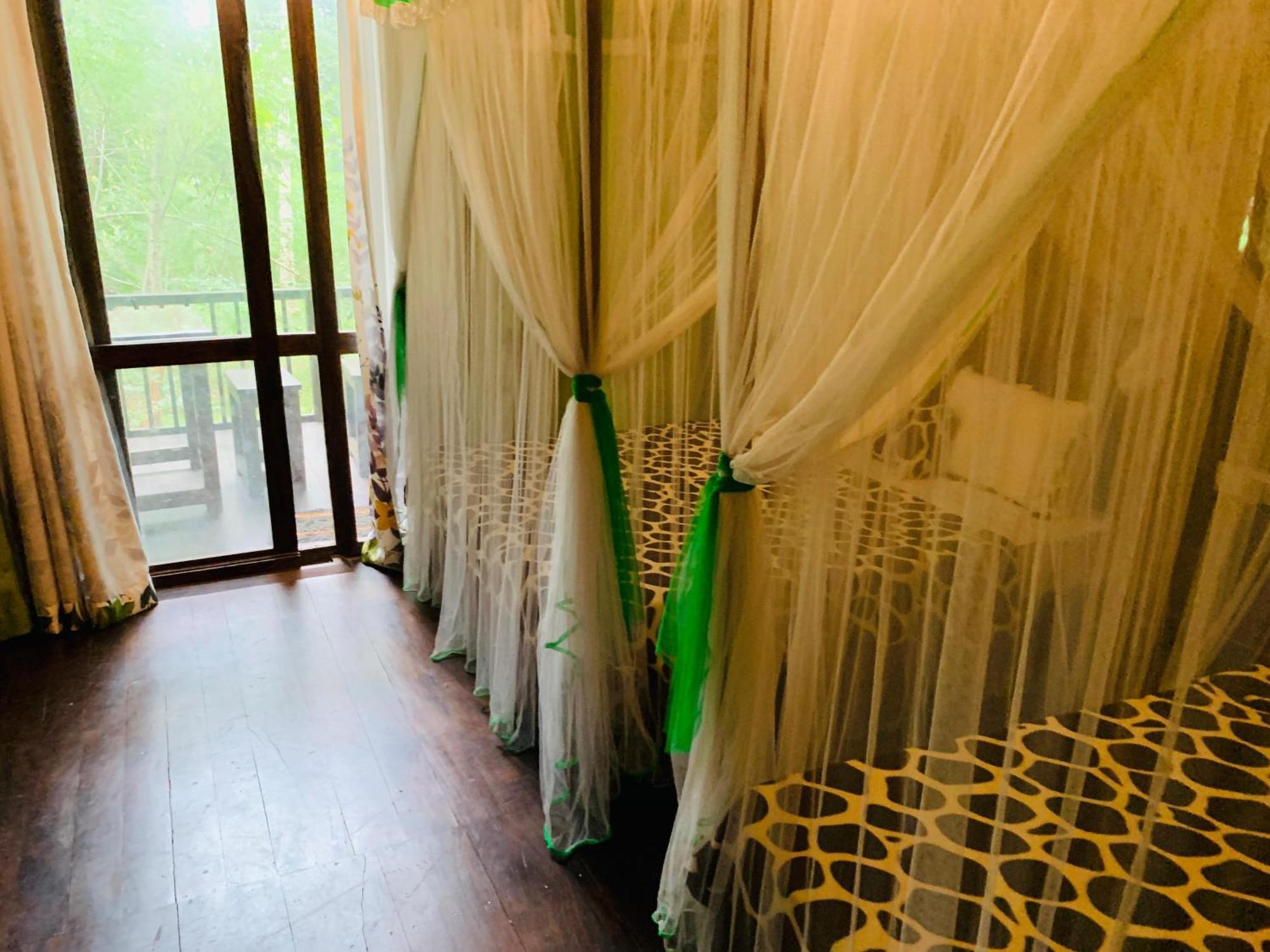 Nature World Jungle Paradise ウダワラウェ 部屋 写真