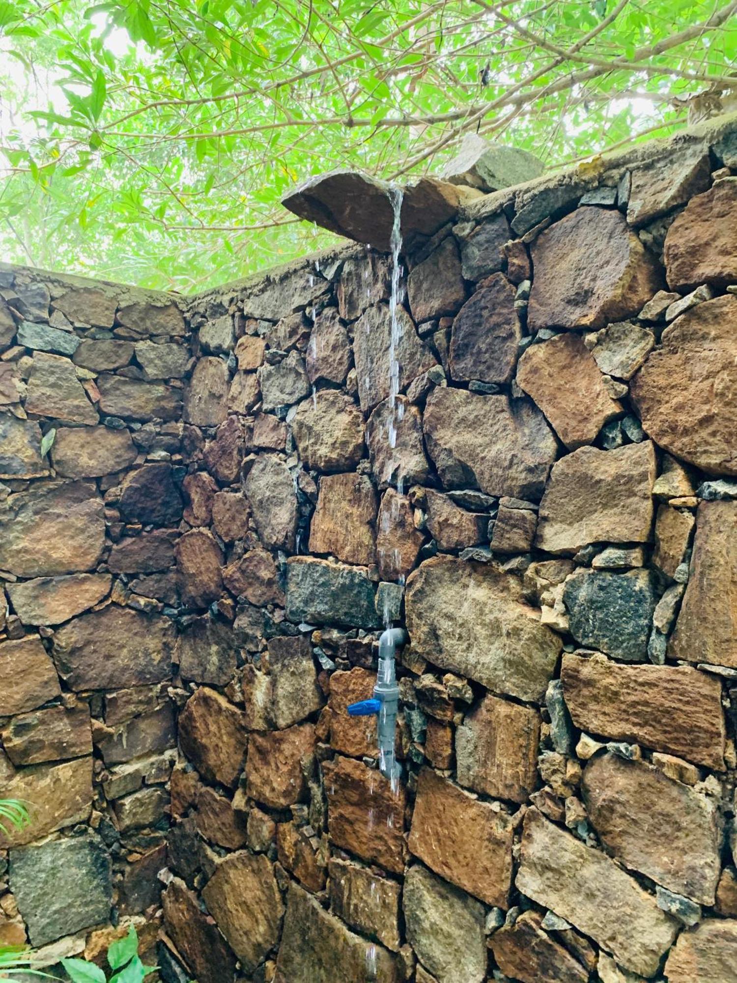 Nature World Jungle Paradise ウダワラウェ 部屋 写真